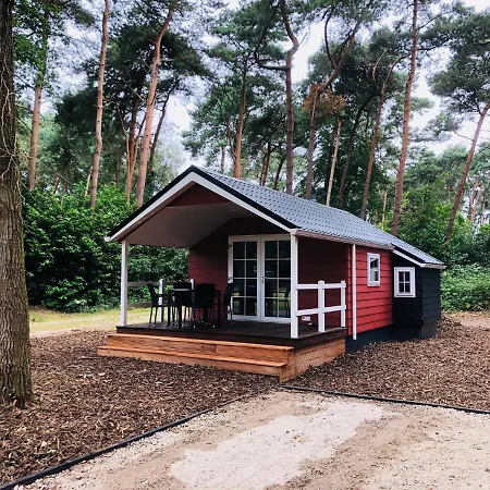 Lodge