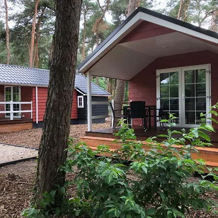 Lodge *