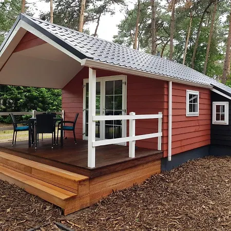Lodge *